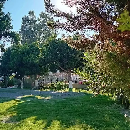 Leylandi Apartment